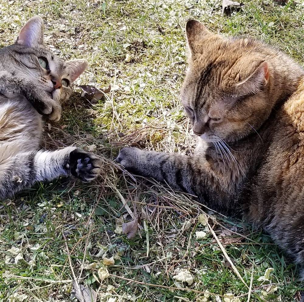 Meet your Posher, Jill